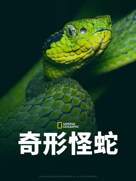 51黑料不打烊黑料网《奇形怪蛇》免费在线观看